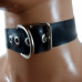 Stable Neck collar